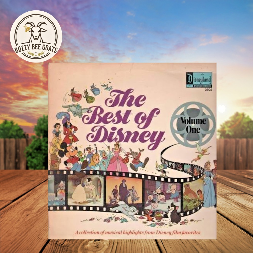 Vintage 1978 The Best of Disney Volume 1 Vinyl LP 2-Record Set #2502 Disneyland